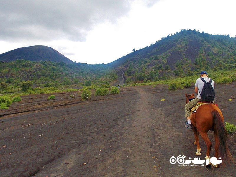 9. در مزارع گدازه های پاریکوتینز (Paricutín) مکزیک اسب سواری کنید