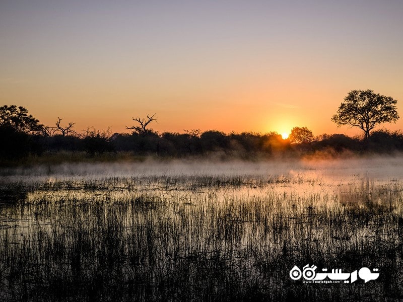 دلتای اوکاوانگو (Okavango Delta)، بوتسوانا (Botswana)