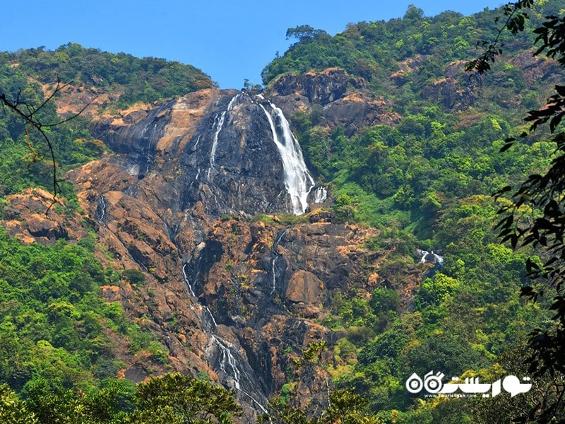 1- آبشار دودهساگار (Dudhsagar Falls)، سانگوئم (Sanguem)، گوا (Goa)