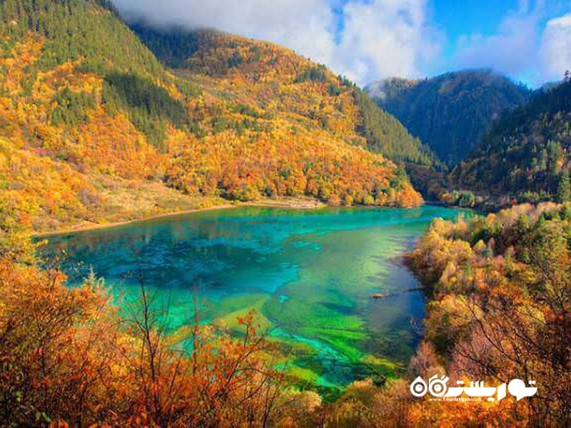 22.برکه پنج گل (Five Flower Lake) در کشور چین