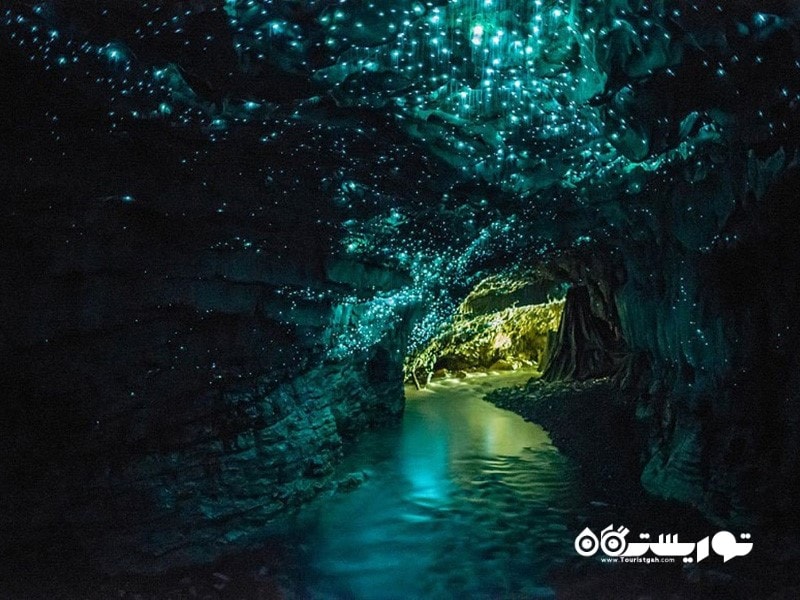 غارهای گلووُم، وایتامو، نیوزلند