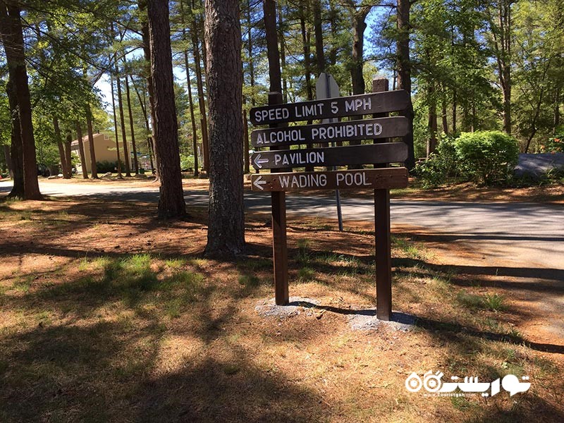 جنگل فری تاون فال ریور استیت (Freetown-Fall River State Forest)، ماساچوست