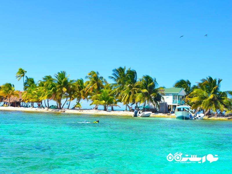 جزیره بِرد، بِلیز (Bird Island, Belize)