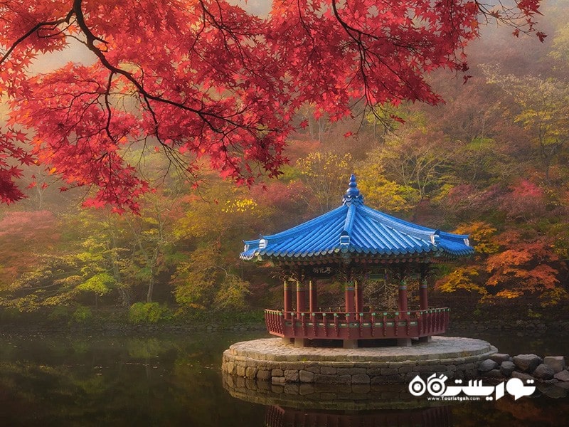 کره جنوبی یکی از 10 مکان در آسیا برای بازدید در ماه مارچ