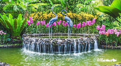 سرگرمی باغ های گیاه شناسی سنگاپور شهر سنگاپور کشور سنگاپور