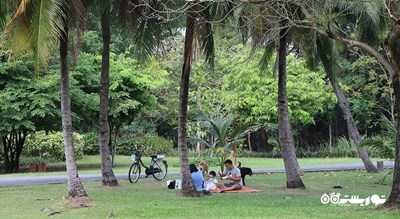 سرگرمی باغ گیاه شناسی و پارک سی ناکان کوین کان شهر تایلند کشور بانکوک