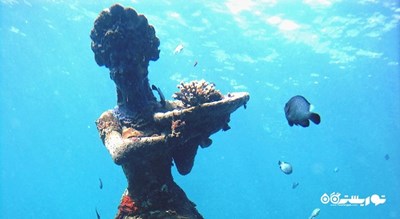  گالری زیر آب خلیج جملوک شهر اندونزی کشور بالی