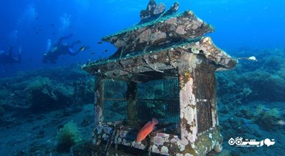  گالری زیر آب خلیج جملوک شهر اندونزی کشور بالی
