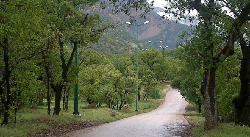  پارک جنگلی تشبندان شهرستان مازندران استان محمود آباد	