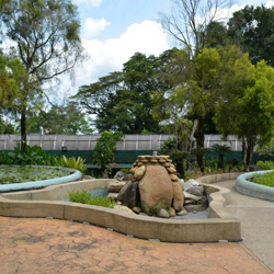 باغ هبیسکوس کوالالامپور (هبیسکوس گاردن)