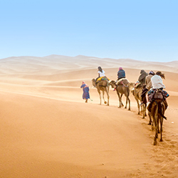 سفرهای صحرایی در دوحه 