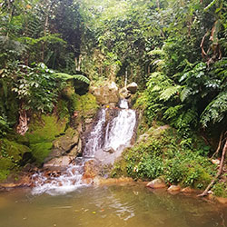 آبشار وانگ سائو تونگ