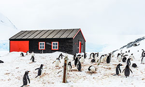 جالب‌ ترین مکان‌ های جهان که می توانید از آنجا یک نامه پست کنید