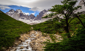 16 مکان فوق العاده که شیلی را برای این دنیا بیش از حد جذاب می کند