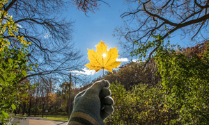 دیدنی ترین مکان هایی که همین حالا باید با یک دوربین به آنها سفر کرد