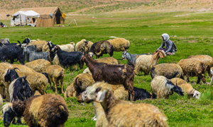 20 جاذبه توریستی کمتر شناخته شده ایران