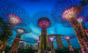 معرفی 20 مکان رمانتیک و زیبا برای ماه عسل در سنگاپور 