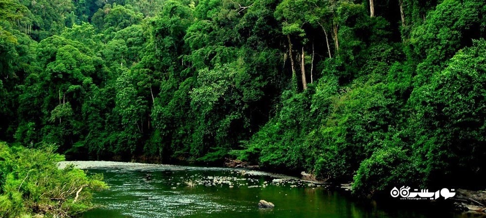 کشور مالزی در قاره آسیا - توریستگاه