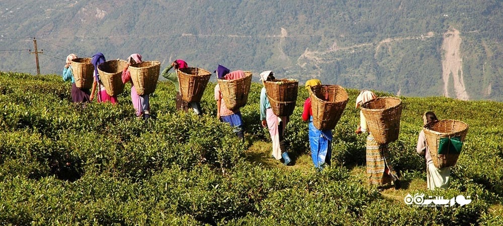 کشور مالزی در قاره آسیا - توریستگاه