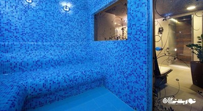   هتل رادیسون سونیا شهر سن پترزبورگ