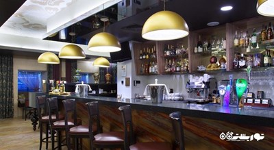   هتل رادیسون سونیا شهر سن پترزبورگ