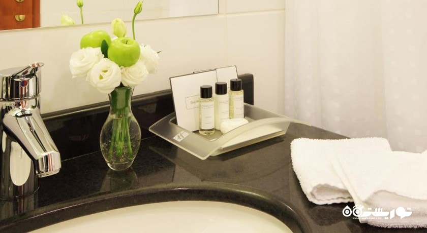   هتل هالیدی این سوکولنیکی شهر مسکو