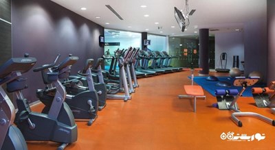   هتل هالیدی این سوکولنیکی شهر مسکو