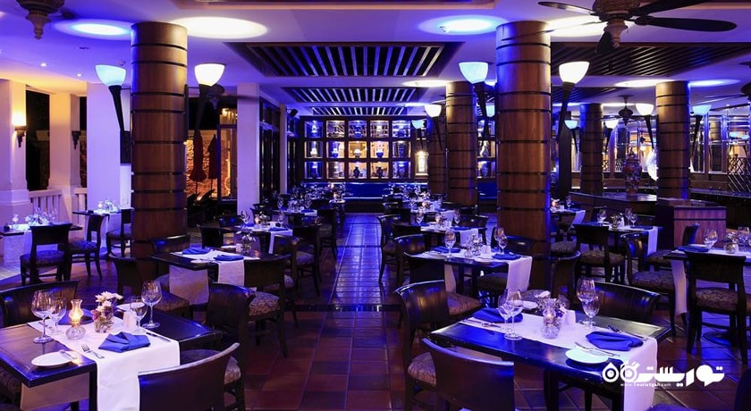 نمای کلی از کافه بلو سی