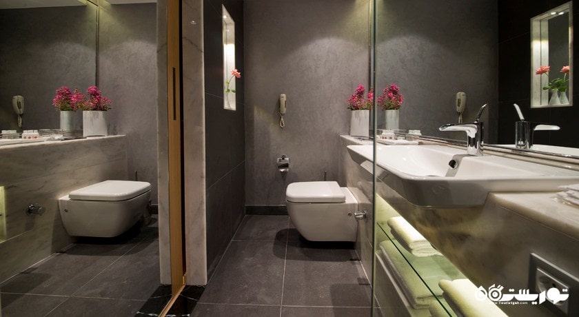 سرویس بهداشتی اتاق اگزکیوتیو دلوکس