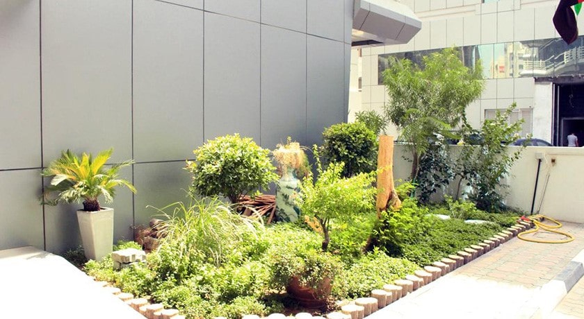 محوطه فضای سبز هتل