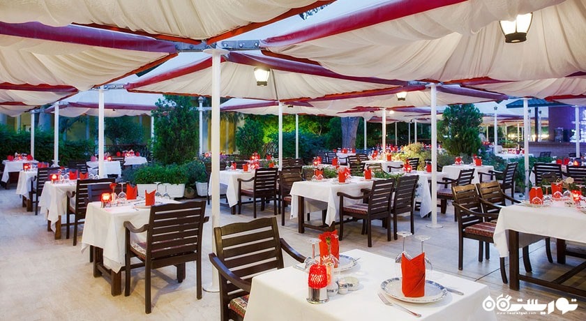 محوطه فضای باز رستوران پاشا