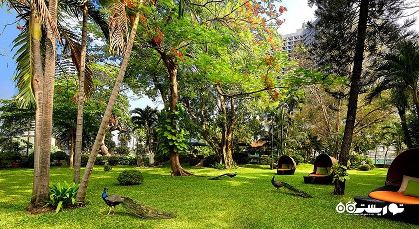فضای سبز هتل رویال ارکید شراتون اند تاورز