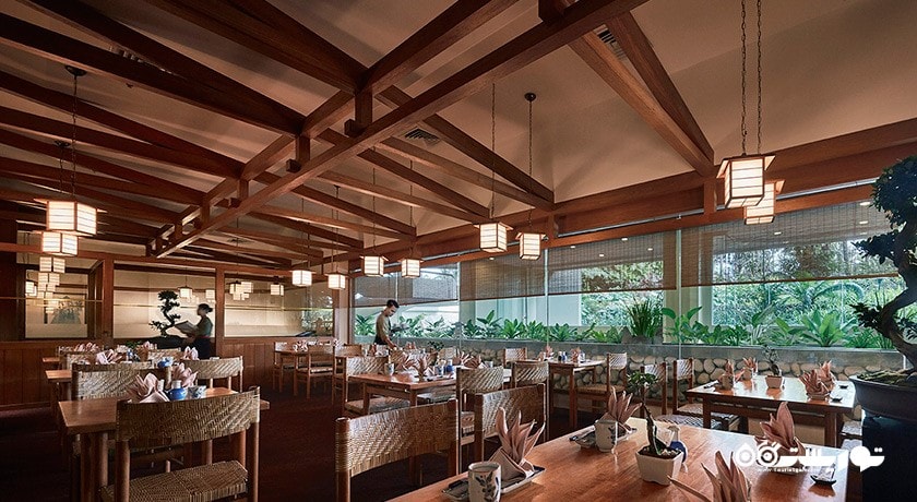 نمایی از رستوران غذای ژاپنی کامپاچی