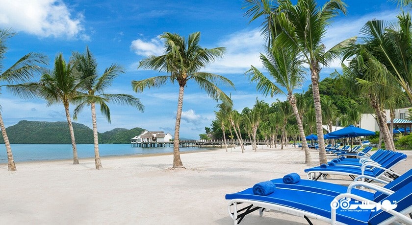 نمایی از ساحل اختصاصی هتل