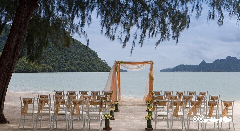 برگزاری جشن و مراسم در فضای باز