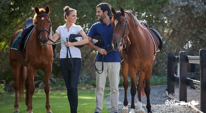 سوارکاری در هتل جی ال جبل علی بیچ