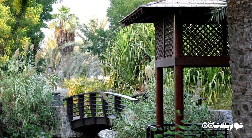 فضای سبز هتل جی ال پالم تری کورت