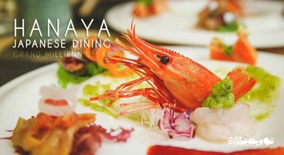 غذای دریایی در رستوران ژاپنی هایانا