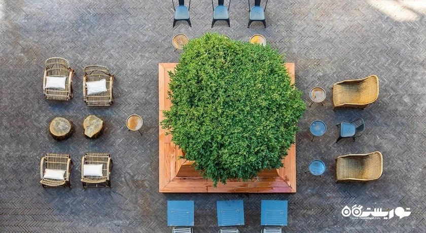 محوطه غذاخوری در فضای باز