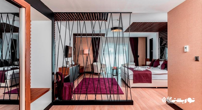 اتاق دلوکس هتل آیدین اوغلو