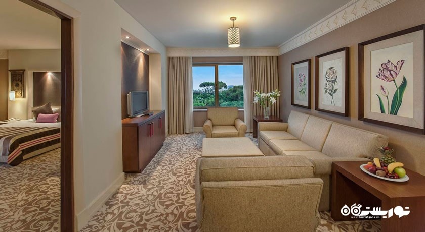 محوطه نشیمن سوئیت دلوکس