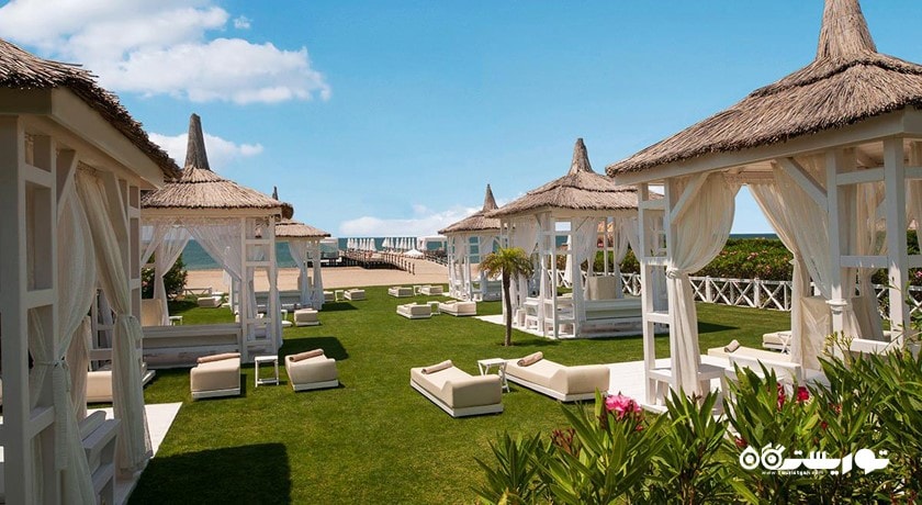 تخت های استراحت در فضای سبز