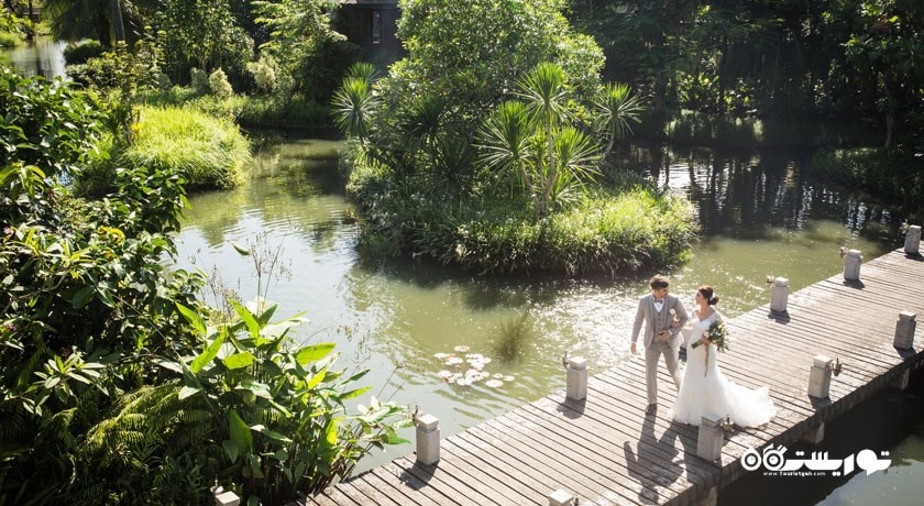 برگزاری جشن و مراسم در هتل