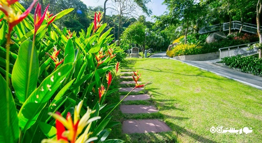 فضای سبز هتل د شور ات کاتاتانی