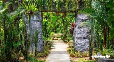 باغ های بوتانیکال هتل تاورن پالم بیچ