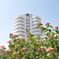 بوتیک چنار