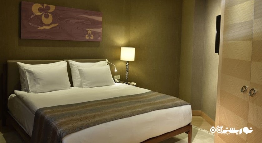 نمای تخت بزرگ سوئیت استودیو
