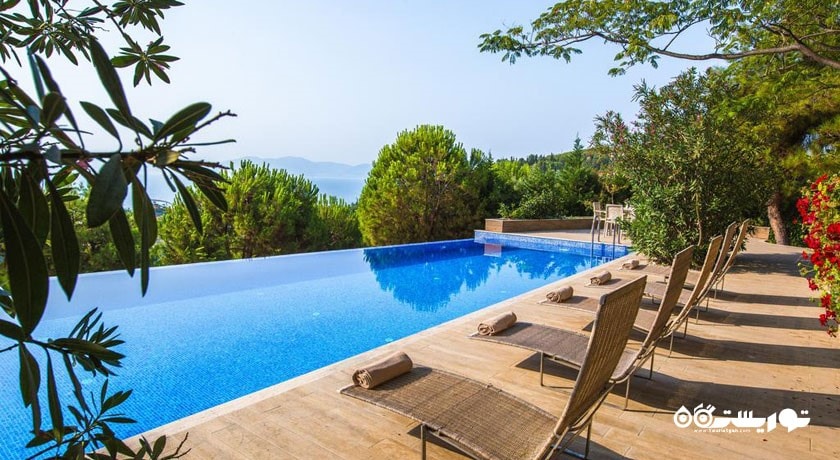 نمای استخر مشترک ویلا دلوکس