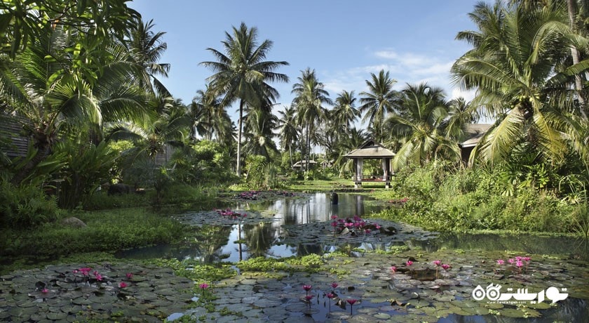 ویلا لاگون هتل آنانتارا مای کائو پوکت ویلاز