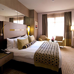 سوئیت جونیور